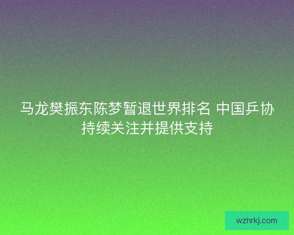 马龙樊振东陈梦暂退世界排名 中国乒协持续关注并提供支持