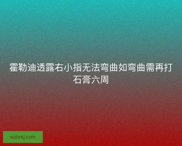 霍勒迪透露右小指无法弯曲如弯曲需再打石膏六周